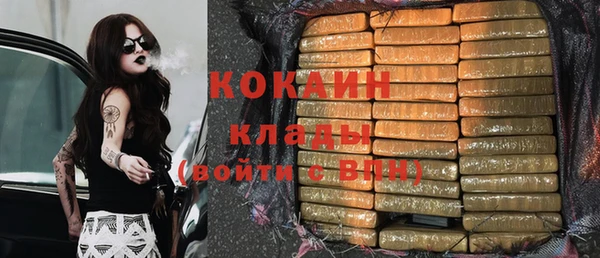 PSILOCYBIN Арсеньев