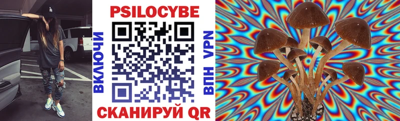 Псилоцибиновые грибы Magic Shrooms  купить наркоту  Багратионовск 